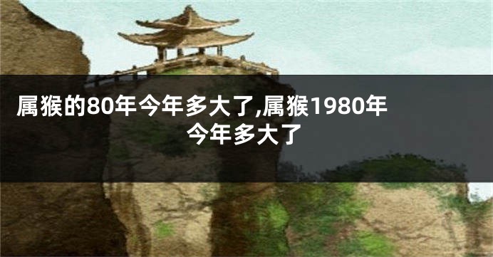 属猴的80年今年多大了,属猴1980年今年多大了