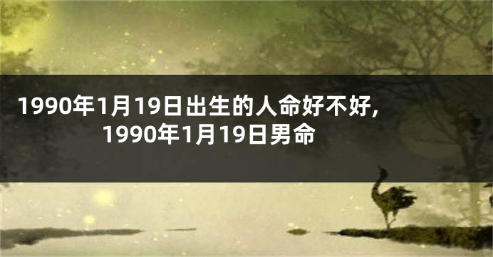 1990年1月19日出生的人命好不好,1990年1月19日男命