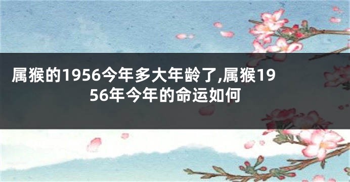 属猴的1956今年多大年龄了,属猴1956年今年的命运如何