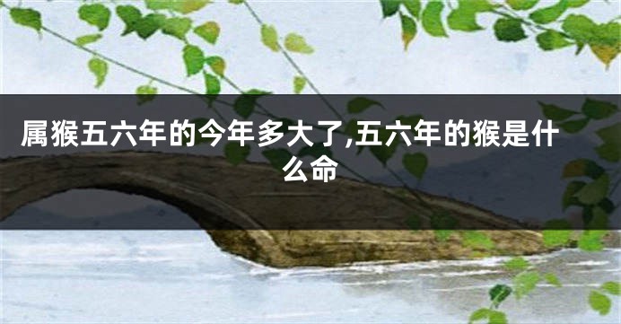 属猴五六年的今年多大了,五六年的猴是什么命