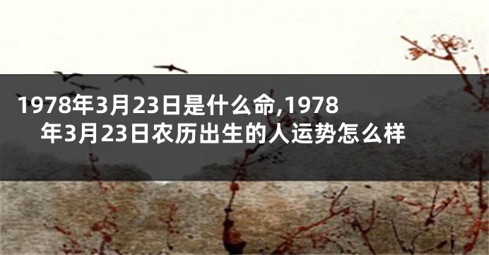 1978年3月23日是什么命,1978年3月23日农历出生的人运势怎么样
