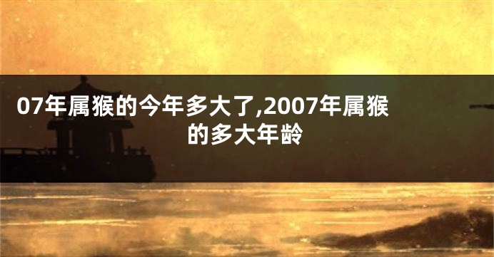 07年属猴的今年多大了,2007年属猴的多大年龄