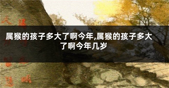 属猴的孩子多大了啊今年,属猴的孩子多大了啊今年几岁