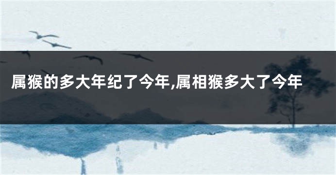 属猴的多大年纪了今年,属相猴多大了今年