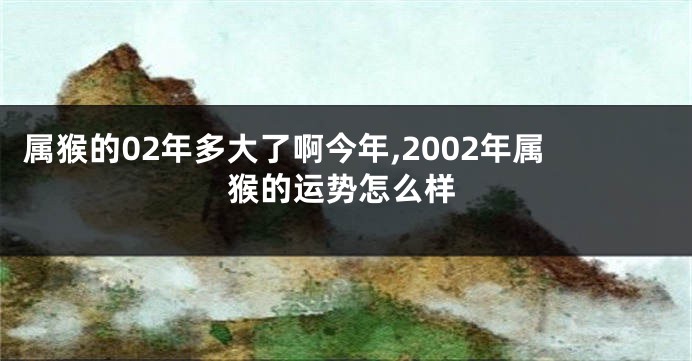 属猴的02年多大了啊今年,2002年属猴的运势怎么样