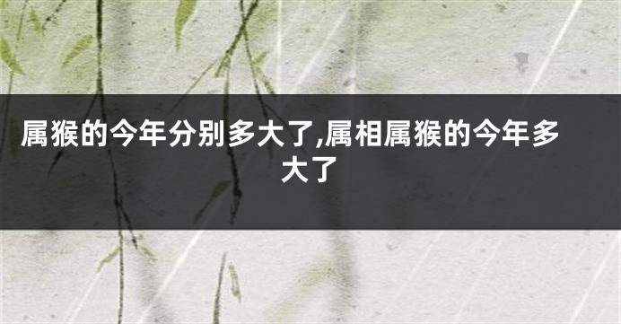 属猴的今年分别多大了,属相属猴的今年多大了