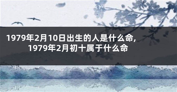1979年2月10日出生的人是什么命,1979年2月初十属于什么命