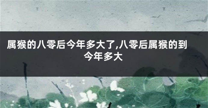 属猴的八零后今年多大了,八零后属猴的到今年多大
