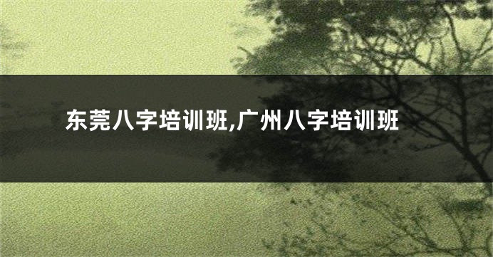 东莞八字培训班,广州八字培训班