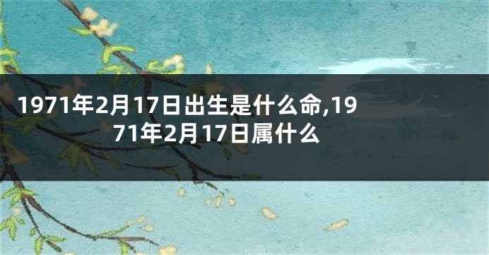 1971年2月17日出生是什么命,1971年2月17日属什么