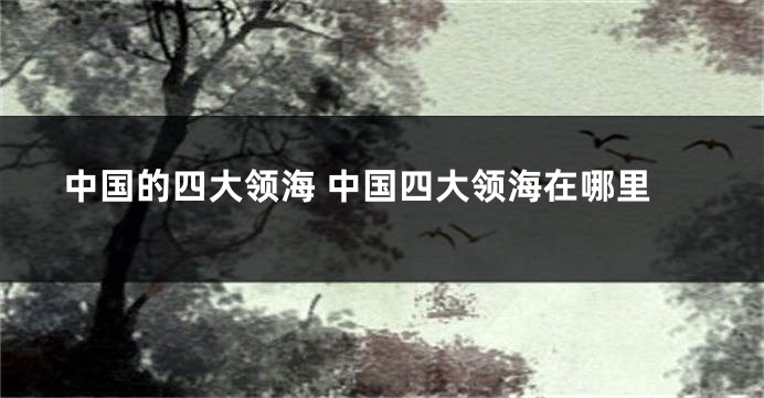 中国的四大领海 中国四大领海在哪里