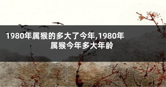 1980年属猴的多大了今年,1980年属猴今年多大年龄
