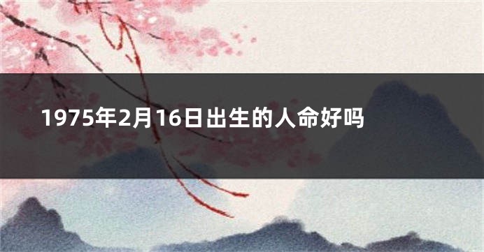 1975年2月16日出生的人命好吗
