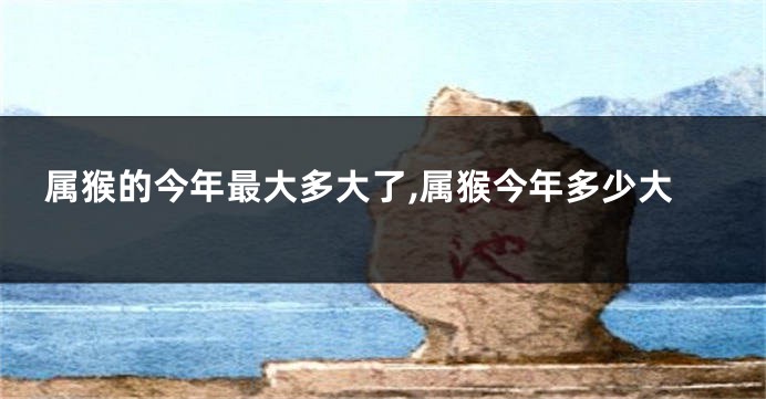 属猴的今年最大多大了,属猴今年多少大