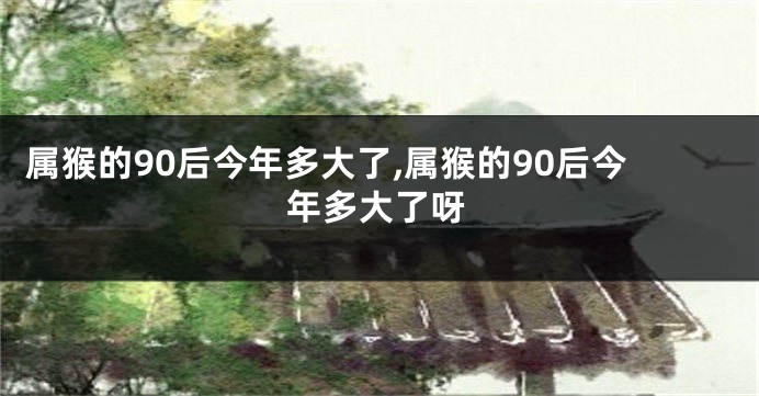 属猴的90后今年多大了,属猴的90后今年多大了呀