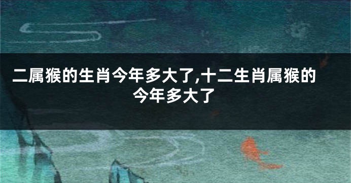 二属猴的生肖今年多大了,十二生肖属猴的今年多大了