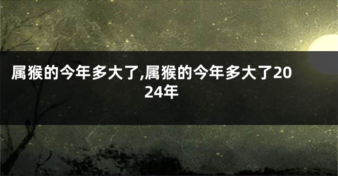 属猴的今年多大了,属猴的今年多大了2024年
