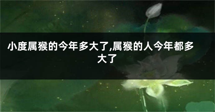 小度属猴的今年多大了,属猴的人今年都多大了