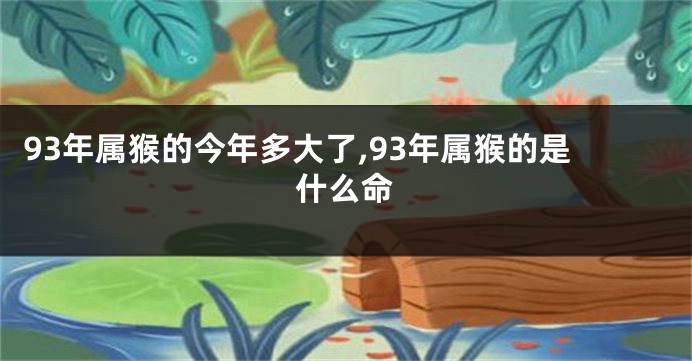 93年属猴的今年多大了,93年属猴的是什么命