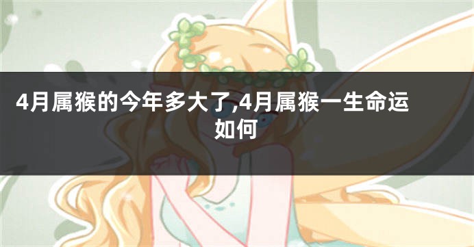 4月属猴的今年多大了,4月属猴一生命运如何