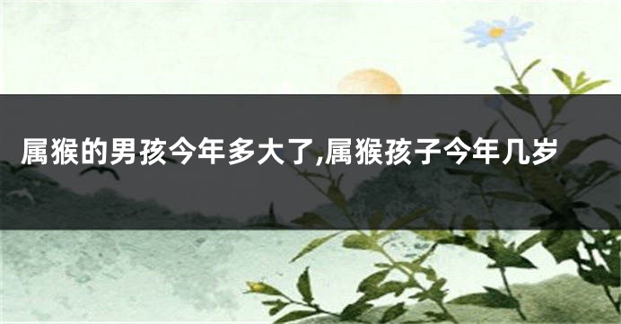 属猴的男孩今年多大了,属猴孩子今年几岁