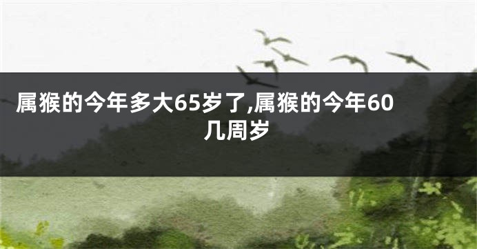 属猴的今年多大65岁了,属猴的今年60几周岁