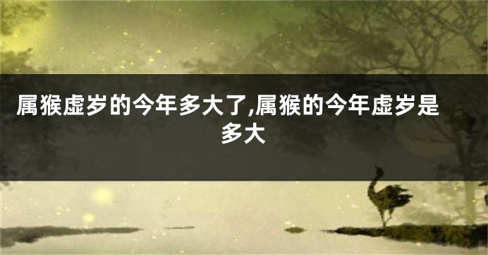 属猴虚岁的今年多大了,属猴的今年虚岁是多大
