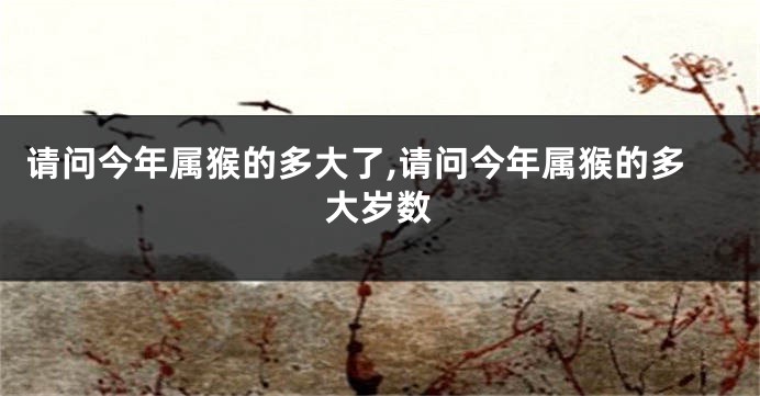 请问今年属猴的多大了,请问今年属猴的多大岁数