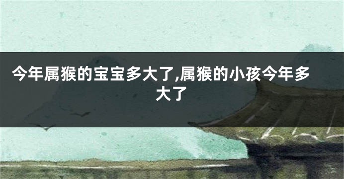 今年属猴的宝宝多大了,属猴的小孩今年多大了