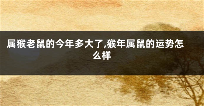 属猴老鼠的今年多大了,猴年属鼠的运势怎么样