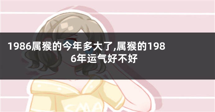 1986属猴的今年多大了,属猴的1986年运气好不好
