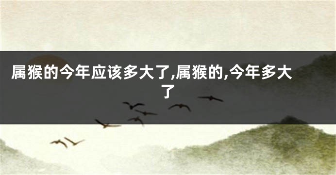 属猴的今年应该多大了,属猴的,今年多大了