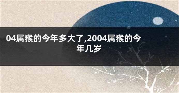 04属猴的今年多大了,2004属猴的今年几岁