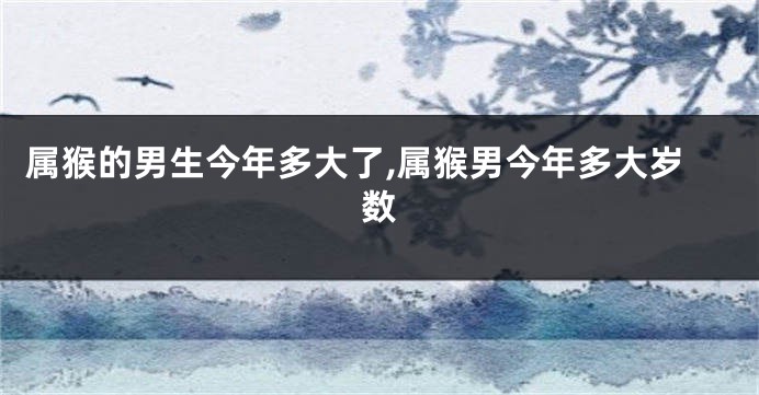 属猴的男生今年多大了,属猴男今年多大岁数