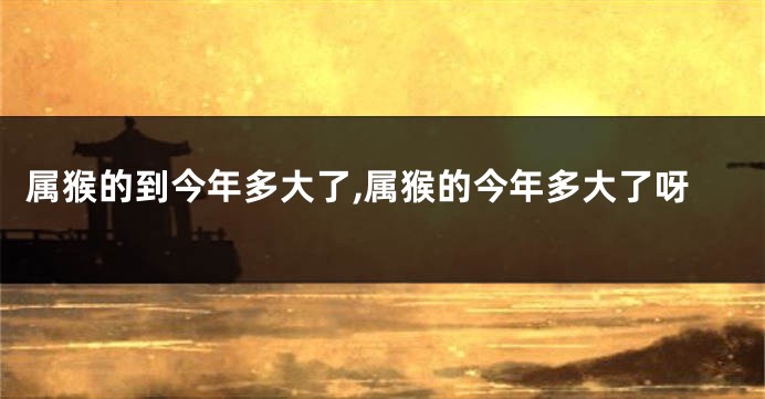 属猴的到今年多大了,属猴的今年多大了呀
