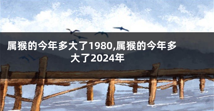 属猴的今年多大了1980,属猴的今年多大了2024年