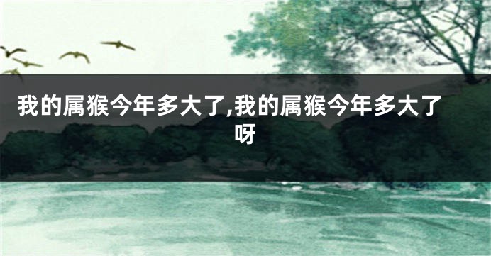 我的属猴今年多大了,我的属猴今年多大了呀