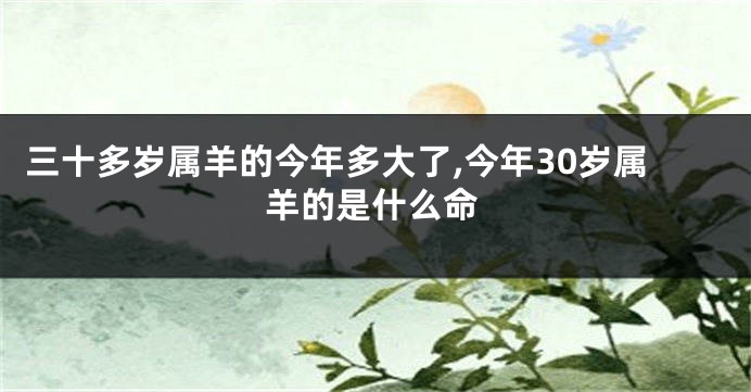 三十多岁属羊的今年多大了,今年30岁属羊的是什么命