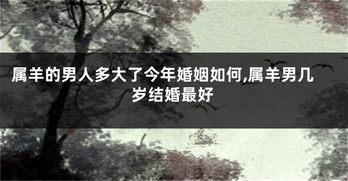 属羊的男人多大了今年婚姻如何,属羊男几岁结婚最好