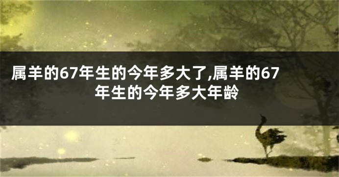 属羊的67年生的今年多大了,属羊的67年生的今年多大年龄