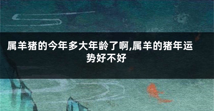 属羊猪的今年多大年龄了啊,属羊的猪年运势好不好
