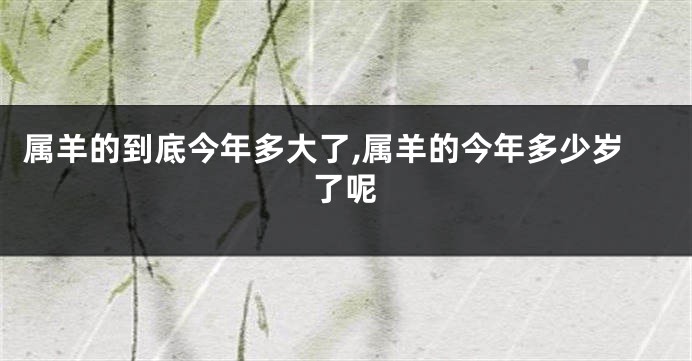 属羊的到底今年多大了,属羊的今年多少岁了呢