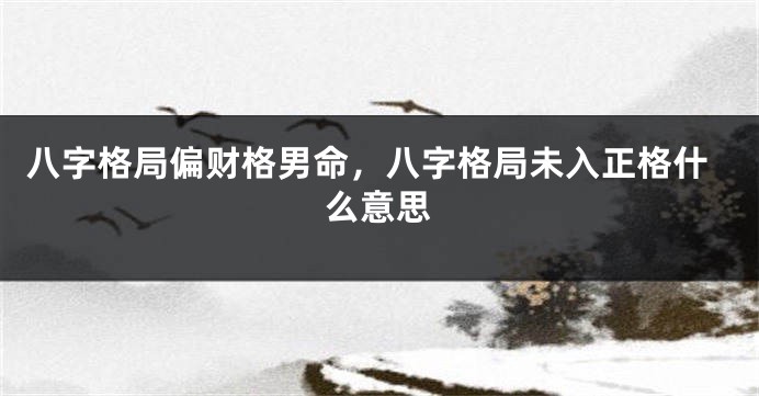 八字格局偏财格男命，八字格局未入正格什么意思