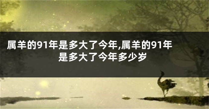 属羊的91年是多大了今年,属羊的91年是多大了今年多少岁