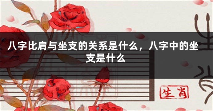 八字比肩与坐支的关系是什么，八字中的坐支是什么