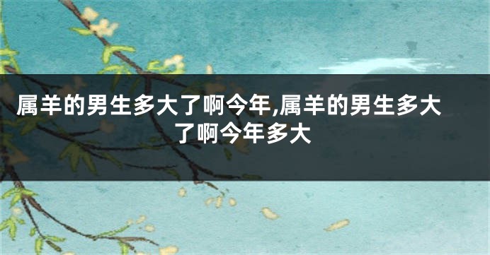 属羊的男生多大了啊今年,属羊的男生多大了啊今年多大