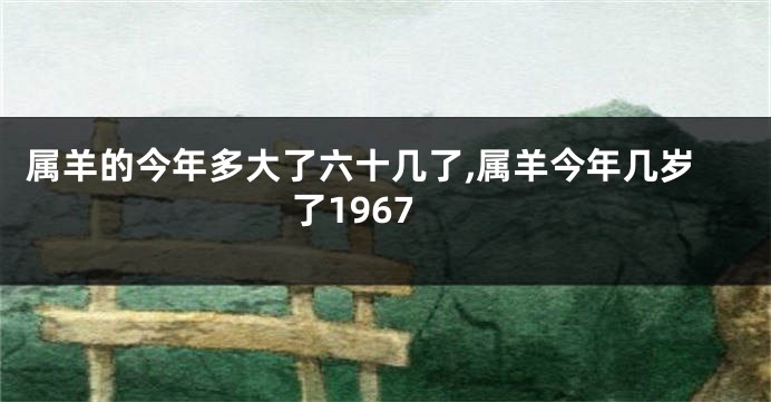 属羊的今年多大了六十几了,属羊今年几岁了1967