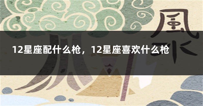 12星座配什么枪，12星座喜欢什么枪