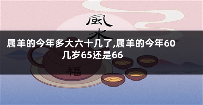 属羊的今年多大六十几了,属羊的今年60几岁65还是66