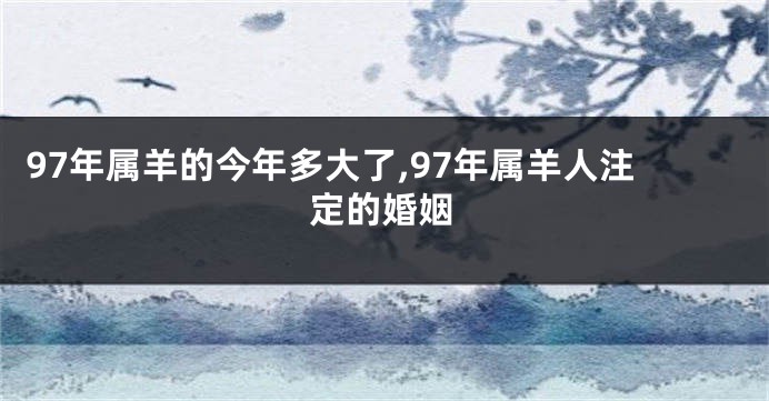 97年属羊的今年多大了,97年属羊人注定的婚姻